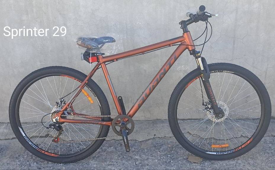 Фотография Велосипед Avanti SPRINTER 29" размер М рама 17" 2024 Серо-оранжевый 